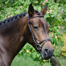  Träns Calinka Globus