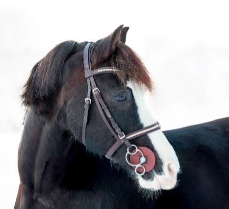 Novabett 2,5 rings med vajer & bettskiva