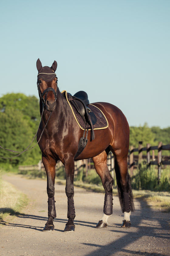 Schabrak Heritage Glitter Chrystal 25/26 Eskadron