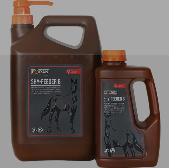 Shy Feeder B Foran Equine