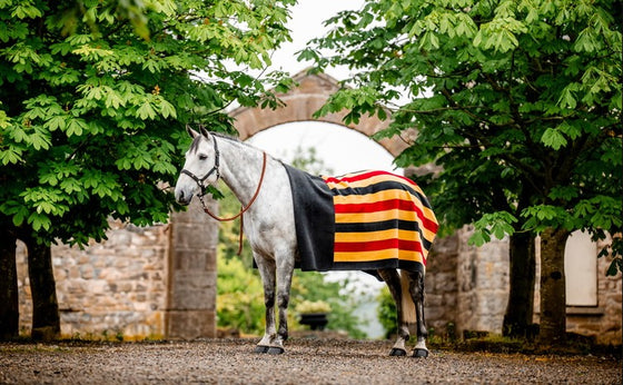 HW Newmarket Fleecefilt