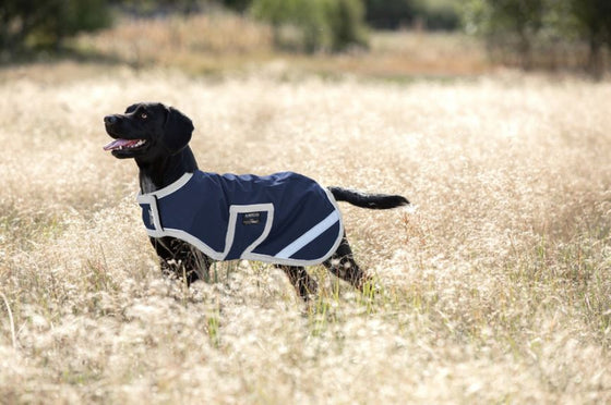 HW Amigo dog rug ripstop 100gr